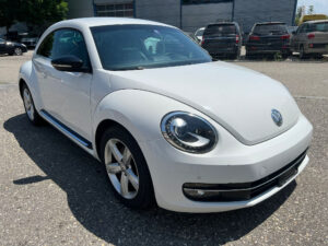 VW Beetle Auto Ankauf